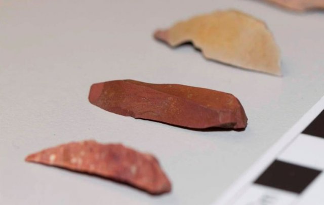 Aboriginal artefacts along Hunter Expressway - 2014